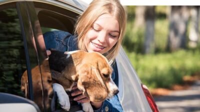 Airport Taxis Weybridge