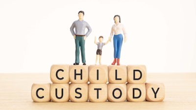 custody legal advice