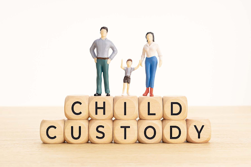 custody legal advice